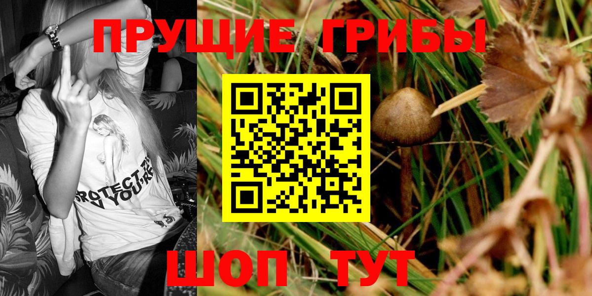 Галлюциногенные грибы Psilocybe Ярцево