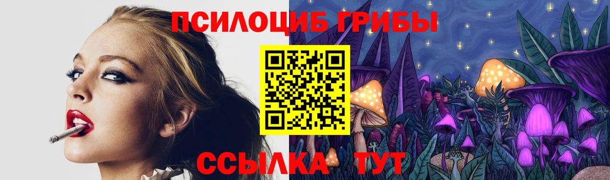Ярцево  наркота  Вход с VPN  Псилоцибиновые грибы Psilocybe 